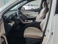 2023 BYD Song Pro Champion DM-i PHEV 71km, белый — фото 9
