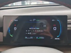2023 BYD Song Pro Champion DM-i PHEV 71km, белый — фото 12