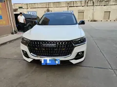2023 Haval H6 1.5T AT Guochao Champion, белый — фото 2