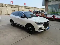 2023 Haval H6 1.5T AT Guochao Champion, белый — фото 3