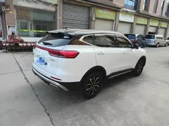 2023 Haval H6 1.5T AT Guochao Champion, белый — фото 11