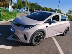 2025 BYD Dolphin 420km Freedom — фото 1