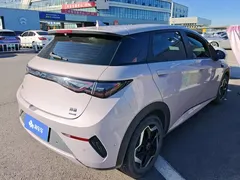 2025 BYD Dolphin 420km Freedom — фото 3