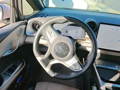 2025 BYD Dolphin 420km Freedom — фото 15