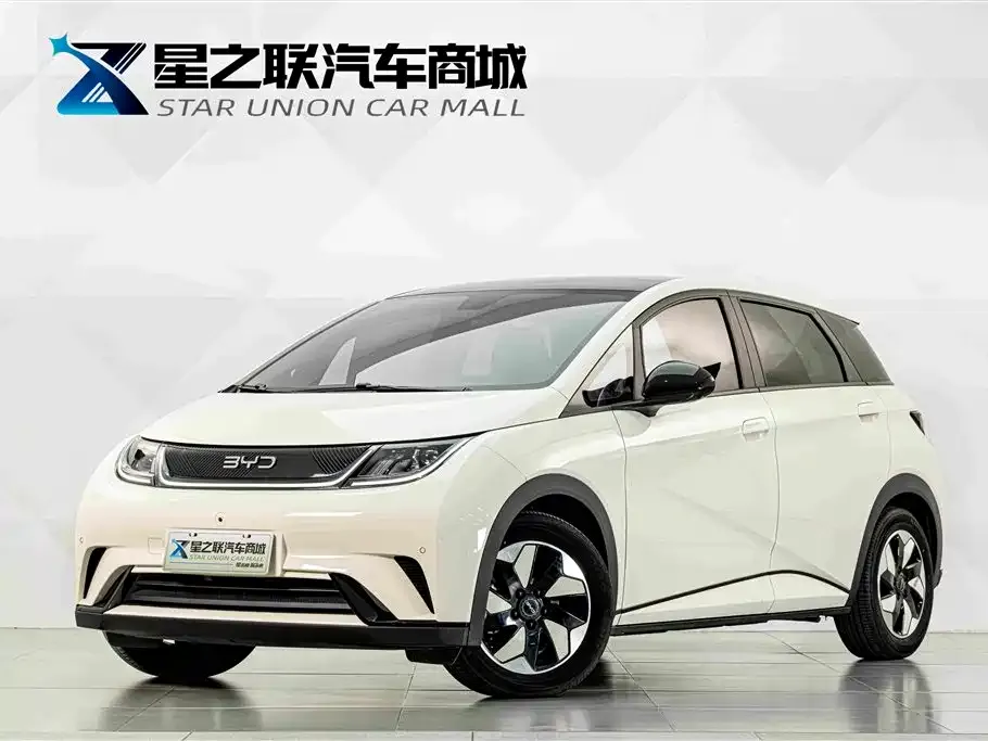 2025 BYD Dolphin 420km Fashion