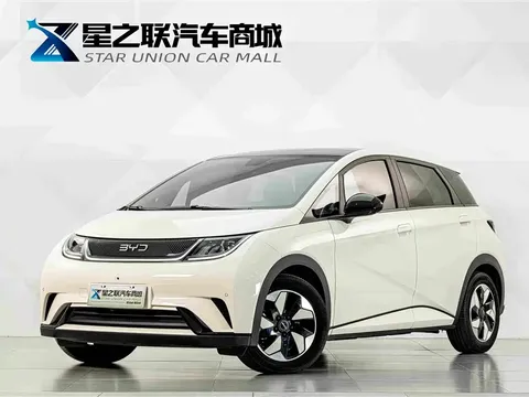 2025 BYD Dolphin 420km Fashion