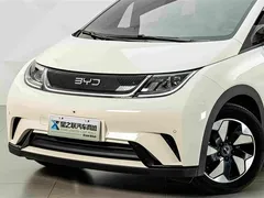 2025 BYD Dolphin 420km Fashion — фото 2