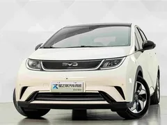 2025 BYD Dolphin 420km Fashion — фото 3