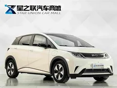2025 BYD Dolphin 420km Fashion — фото 5