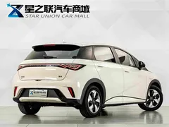 2025 BYD Dolphin 420km Fashion — фото 6