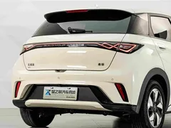 2025 BYD Dolphin 420km Fashion — фото 7