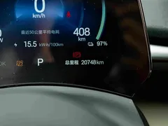 2025 BYD Dolphin 420km Fashion — фото 10
