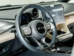 2025 BYD Dolphin 420km Fashion — фото 11