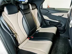 2025 BYD Dolphin 420km Fashion — фото 23