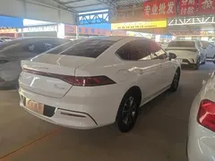 2024 BYD Qin PLUS Honor DM-i PHEV 55km Leading, белый — фото 3