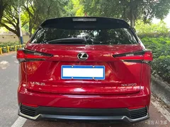 2020 Lexus NX 200 2WD Fengxing China VI — фото 2