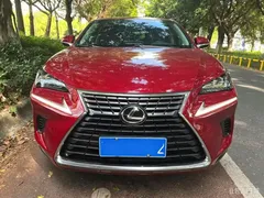 2020 Lexus NX 200 2WD Fengxing China VI — фото 3