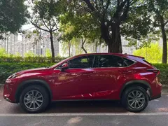 2020 Lexus NX 200 2WD Fengxing China VI — фото 4
