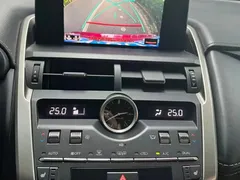 2020 Lexus NX 200 2WD Fengxing China VI — фото 9