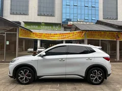 2024 BYD Yuan PLUS Honor 430km Exceed — фото 3
