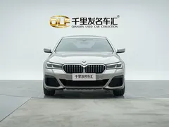 2021 BMW 5 Series 530Li Premium M Sport Package — фото 5