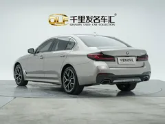 2021 BMW 5 Series 530Li Premium M Sport Package — фото 8