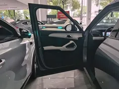 2024 BYD Yuan UP EV 401km Exceed — фото 7