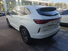 2022 Haval H6 3rd Gen 1.5T AT 2WD Max, белый — фото 5