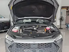 2024 BYD Qin PLUS Honor DM-i PHEV 55km Leading — фото 3