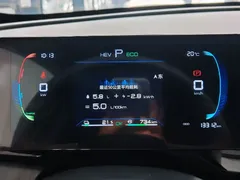 2024 BYD Qin PLUS Honor DM-i PHEV 55km Leading — фото 14