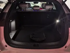2025 BYD Sealion 06 DM-i PHEV 205 Pro — фото 4