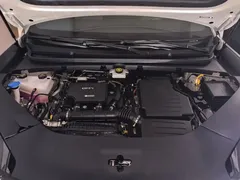 2025 BYD Sealion 06 DM-i PHEV 205 Pro — фото 10