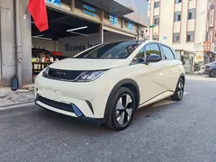 2023 BYD Dolphin 420km Fashion, белый — фото 1