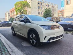 2023 BYD Dolphin 420km Fashion, белый — фото 3