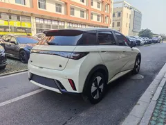 2023 BYD Dolphin 420km Fashion, белый — фото 4