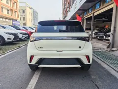 2023 BYD Dolphin 420km Fashion, белый — фото 5