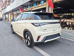 2023 BYD Dolphin 420km Fashion, белый — фото 6