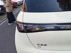 2023 BYD Dolphin 420km Fashion, белый — фото 11