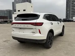 2021 Haval H6 3rd Gen 2.0T AT 2WD Max, белый — фото 17