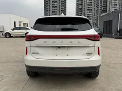 2021 Haval H6 3rd Gen 2.0T AT 2WD Max, белый — фото 18