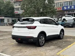 2023 Geely Coolray 1.4T MT Gold, белый — фото 7