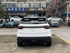 2023 Geely Coolray 1.4T MT Gold, белый — фото 8