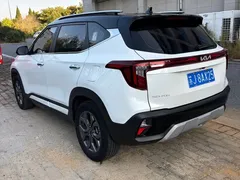 2023 Kia Seltos 1.5L CVT Luxury, белый — фото 4