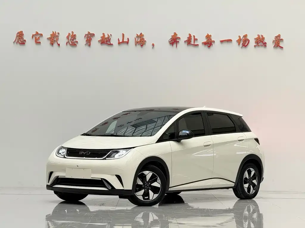 2024 BYD Dolphin Honor 420km Fashion