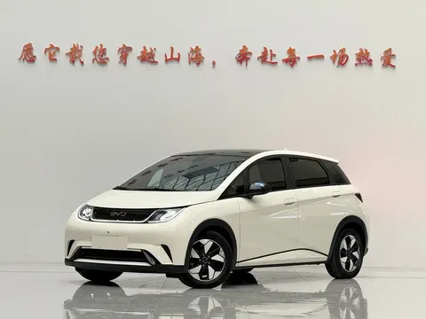 2024 BYD Dolphin Honor 420km Fashion