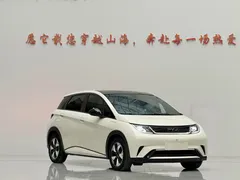 2024 BYD Dolphin Honor 420km Fashion, белый — фото 3