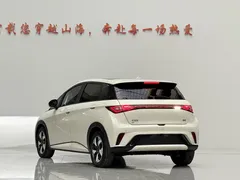 2024 BYD Dolphin Honor 420km Fashion, белый — фото 5