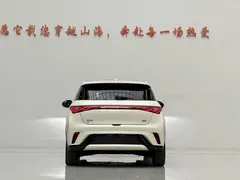 2024 BYD Dolphin Honor 420km Fashion, белый — фото 6