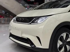 2024 BYD Dolphin Honor 420km Fashion, белый — фото 7