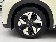 2024 BYD Dolphin Honor 420km Fashion, белый — фото 14